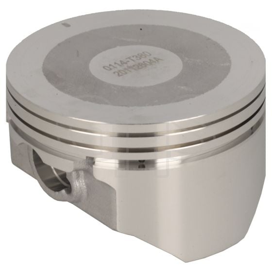 Genuine GGP Piston - 118551240/0