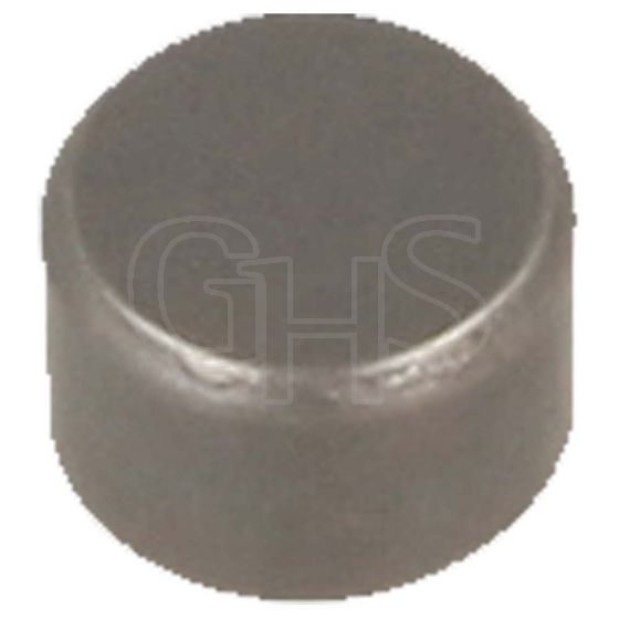 Genuine GGP Valve Cap - 118551244/0