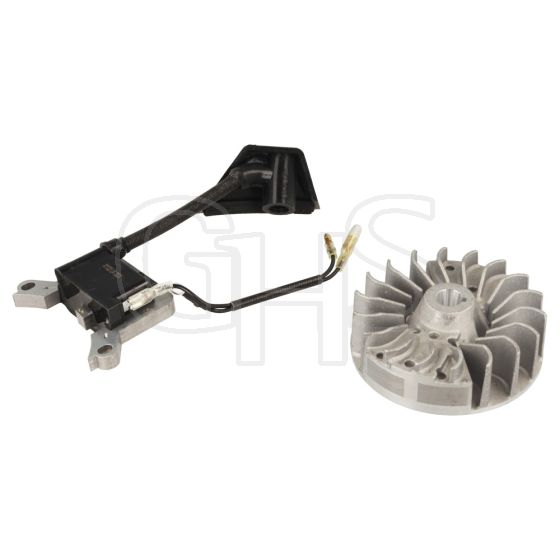 Genuine Mac Allister MBCP25-3, MGTP25-2 Ignition Coil & Flywheel Set - 118803623/0 & 118803622/1