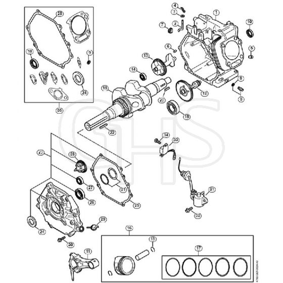 Genuine Stihl RB800 / F - Crankcase, Piston, Crankshaft, Lubrication system