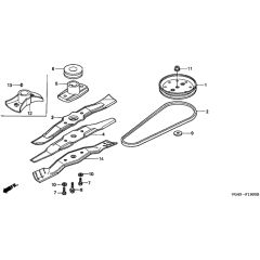 Honda HRG536C1 - SDEA/A - MZCG 6600001-6699999 Driven Pulley Diagram