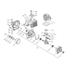 Cylinder, Crankcase, Piston