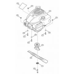 Genuine Stihl RM253.1 T / D - Engine, blade