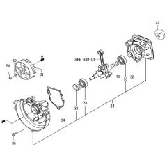 Tanaka TBC-250PF - Crankcase