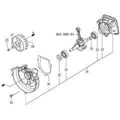 Tanaka TBC-270PFS - Apr 2008 - Crankcase