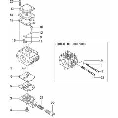 Tanaka C17 TCS-3301S - Carburettor