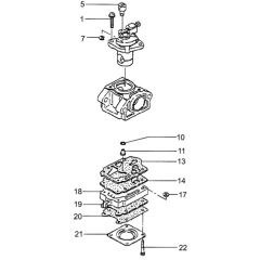 Tanaka THT-210SA - Carburettor