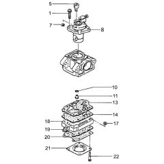 Tanaka THT-2520S - Carburettor