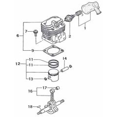 Tanaka TPS-200-2510 - Cylinder Piston Crankshaft