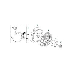 Husqvarna W80P - Flywheel