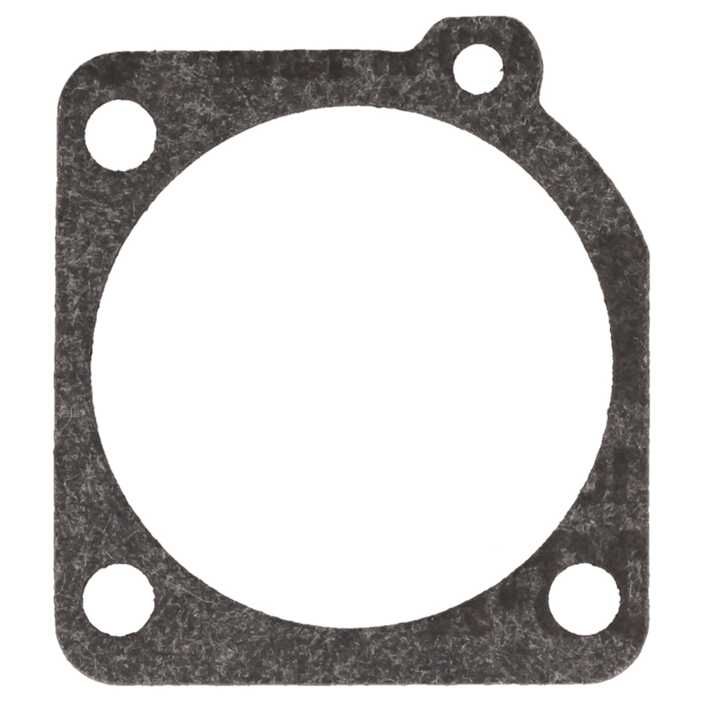 Gasket Diaphragm