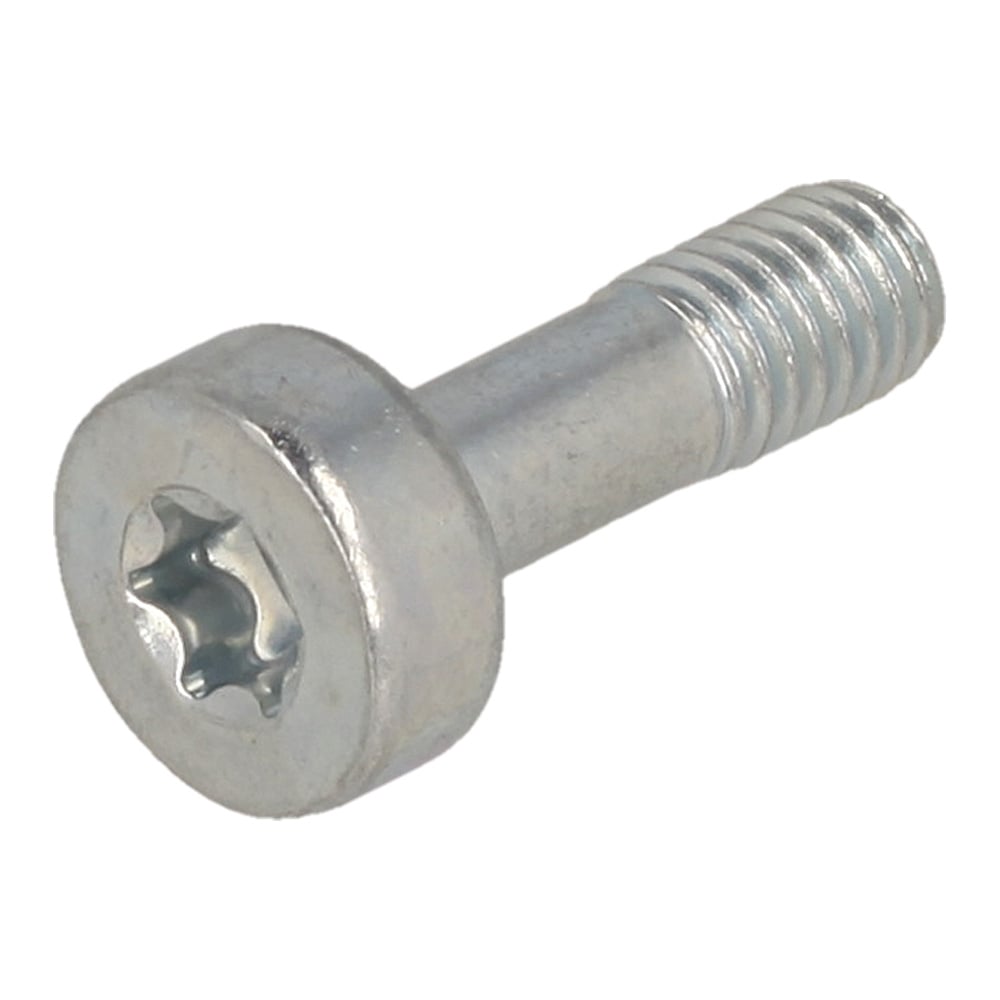 Bolt Torx