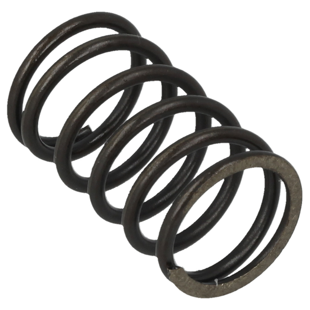 Valve Spring