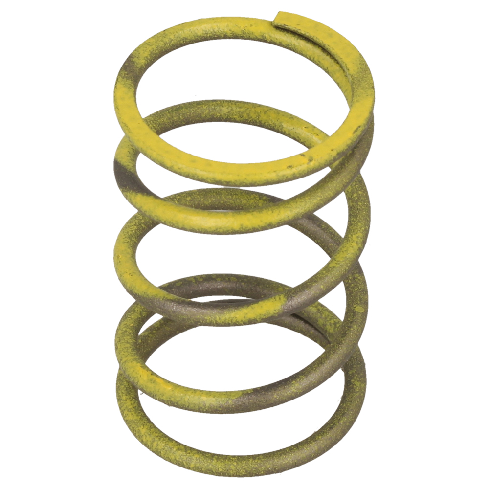 Valve Spring