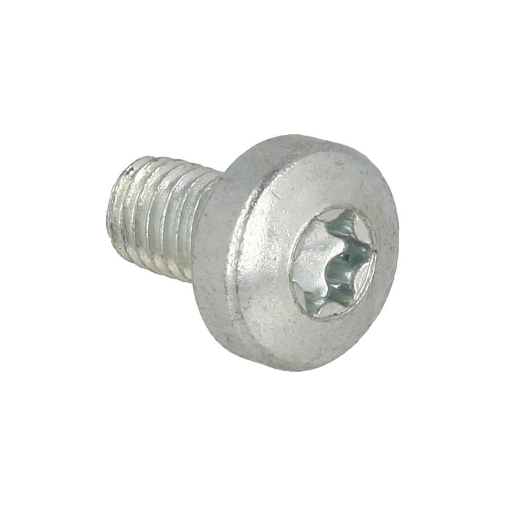 Screw