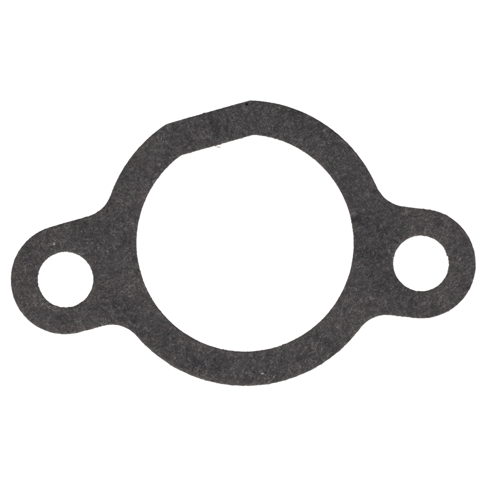 Intake Manifold Gasket