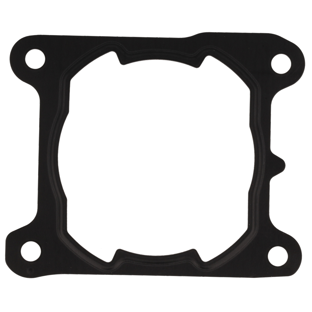 Cylinder Gasket