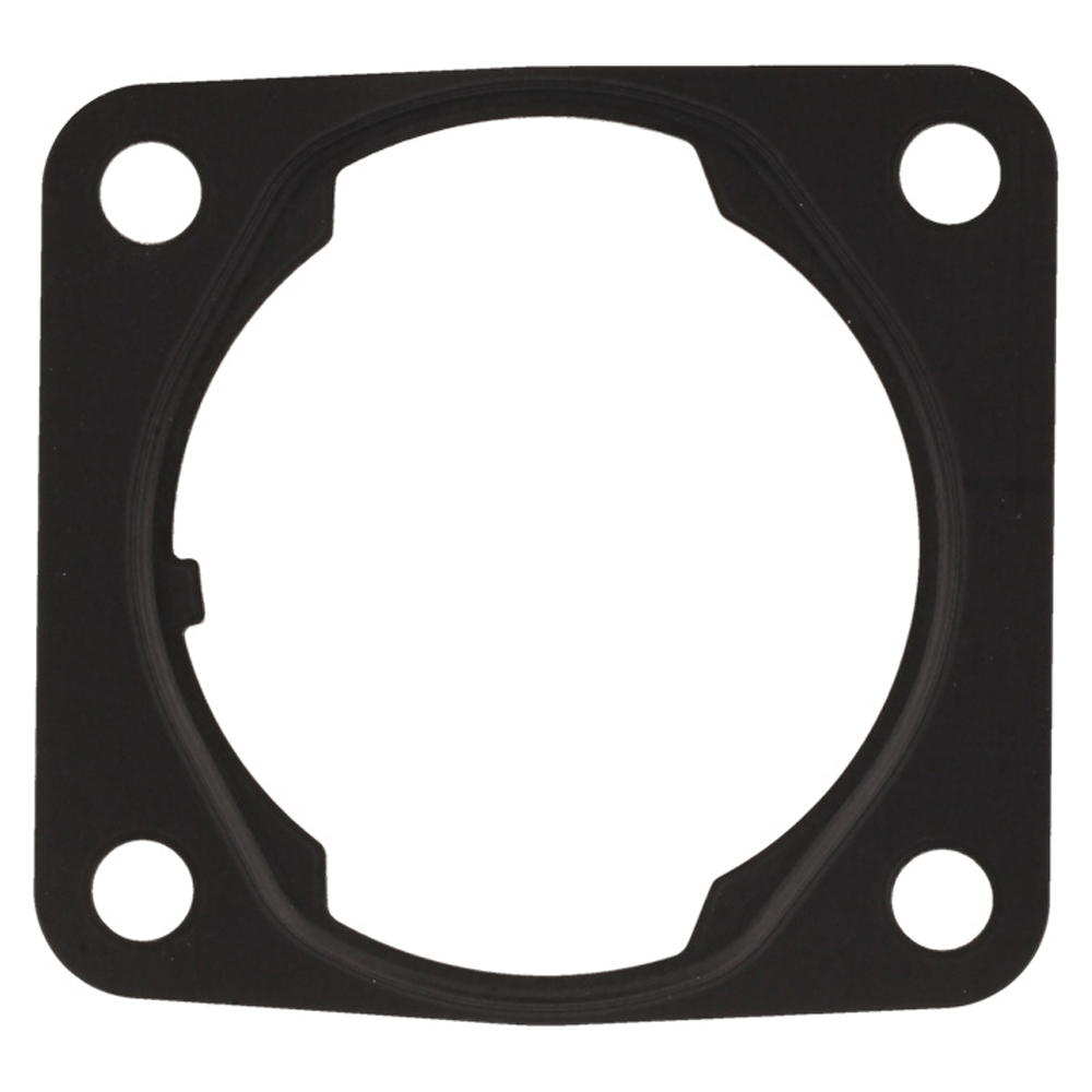 Cylinder gasket