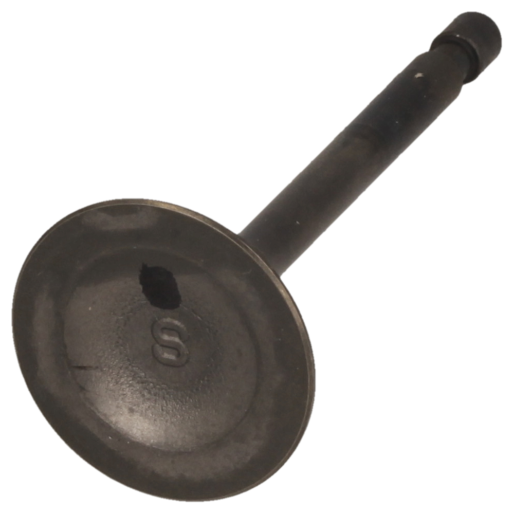 Exhaust Valve