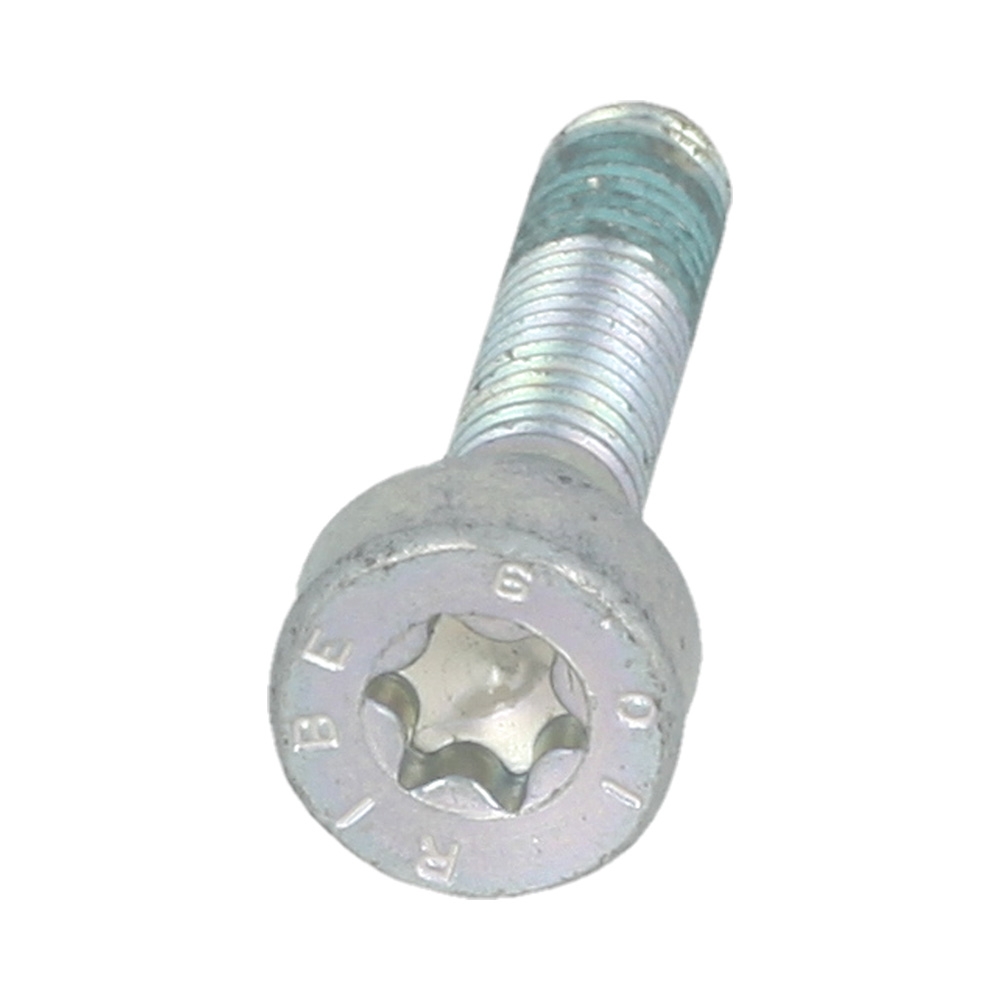 Spline Screw Is-M5x25 (Quantity As Required)