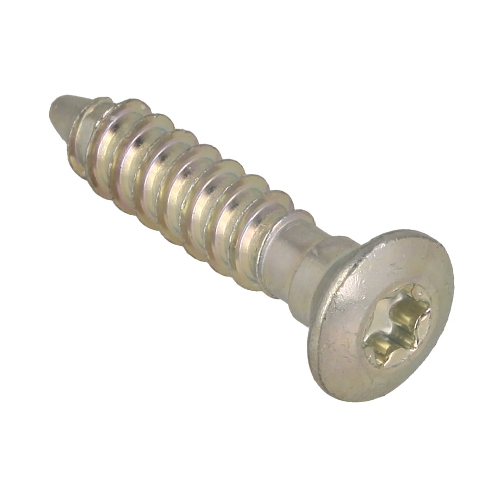 Pan Head Self-Tapping Screw Is-P6X30