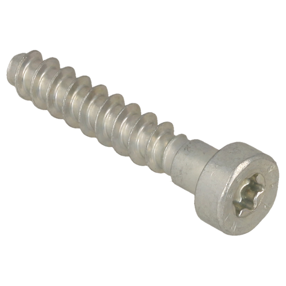 Pan Head Self-Tapping Screw Is-P6x32.5 ((6 Nm))