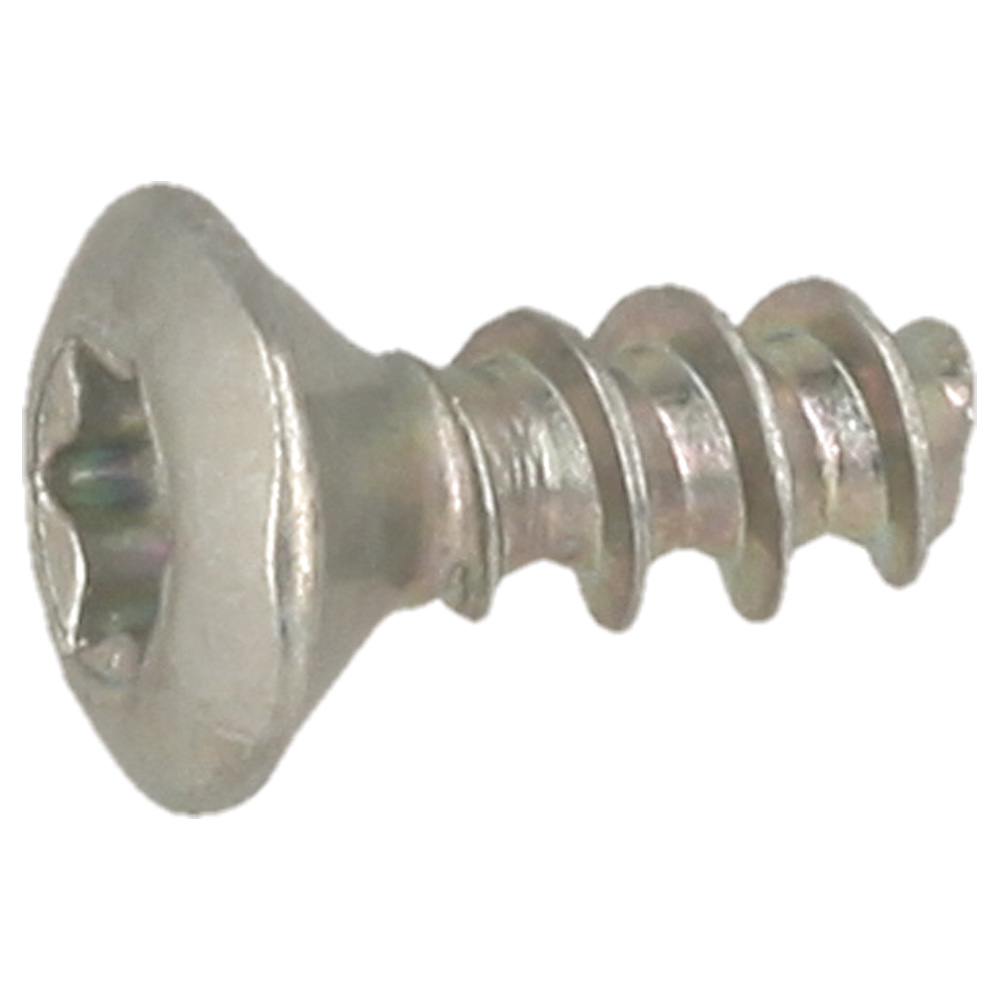 Self-Tapping Screw P4X10